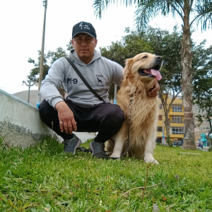 Foto de perfil de Andy C.