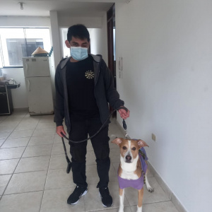 Foto de perfil de Jimmy Joseph D.